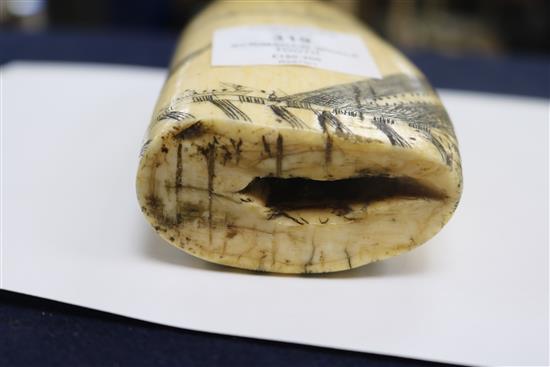 An early 19th century Scrimshaw whale tooth length 18cm